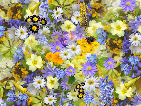 Lente.jpg
